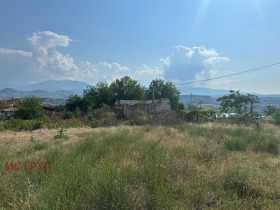 ����� ������� ������,��. ���������, ������ �����������