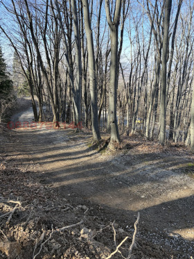 ������� ������ | Imot.bg � ����� ������ 9