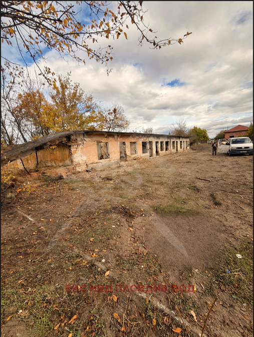 Продава ПАРЦЕЛ, с. Бегово, област Пловдив, снимка 4 - Парцели - 56743363