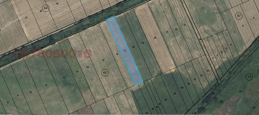 Продава ЗЕМЕДЕЛСКА ЗЕМЯ, с. Богданица, област Пловдив