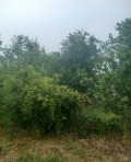 Продава ПАРЦЕЛ, с. Нови хан, област София област, снимка 3