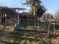 Продава КЪЩА, област Габрово, гр. Трявна • 80000 € • 47351855 — Holmes.bg