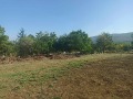 Продава ПАРЦЕЛ, област Пазарджик, с. Розово • 29880 € • 74721653 — Holmes.bg