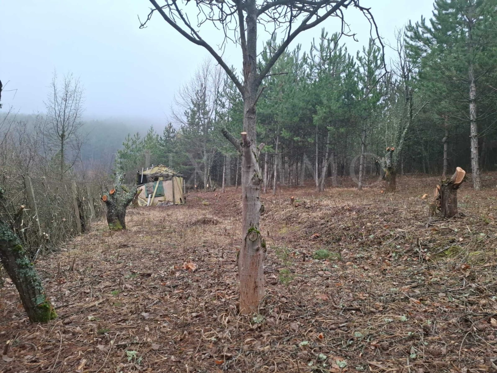 ������� ������ | Imot.bg � ����������� 2