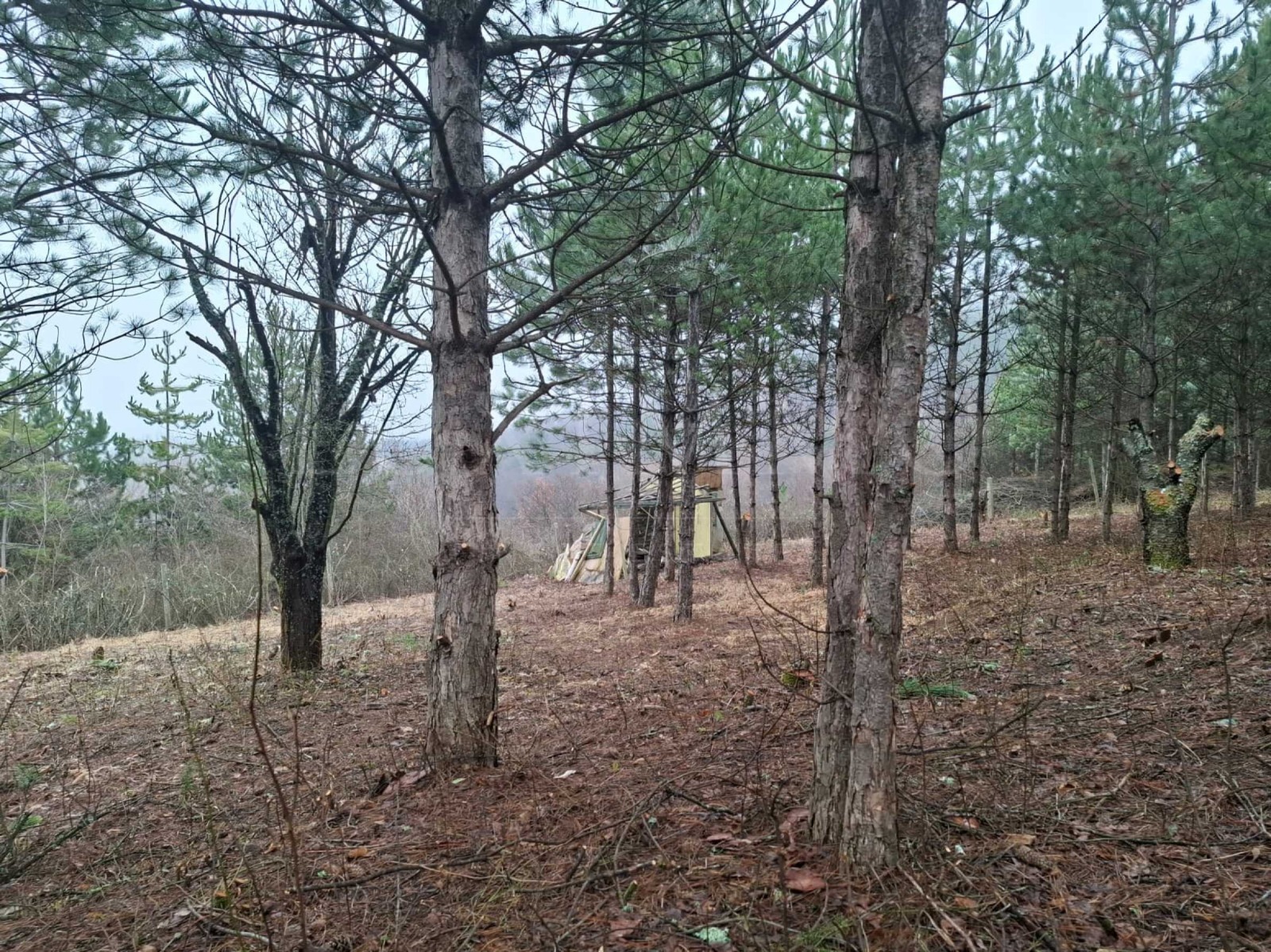 ������� ������ | Imot.bg � ����������� 4