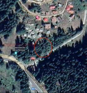 ������ ������� ������