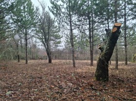 ������� ������ | Imot.bg � ����� ������ 5