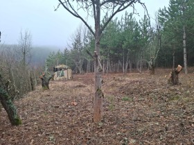 ������� ������ | Imot.bg � ����� ������ 2