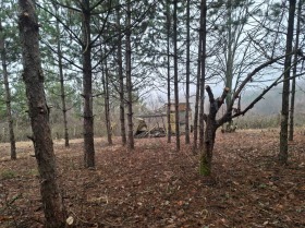 ������� ������ | Imot.bg � ����� ������ 6