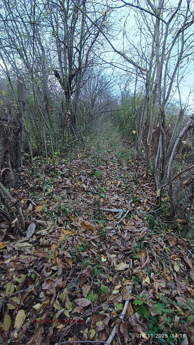 Продава КЪЩА, с. Желъд, област Шумен, снимка 8 - Къщи - 52004393