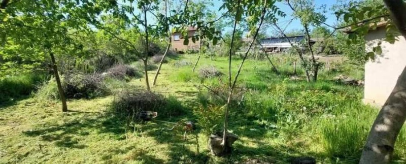 Продава КЪЩА, гр. Свищов, област Велико Търново, снимка 3 - Къщи - 53292078