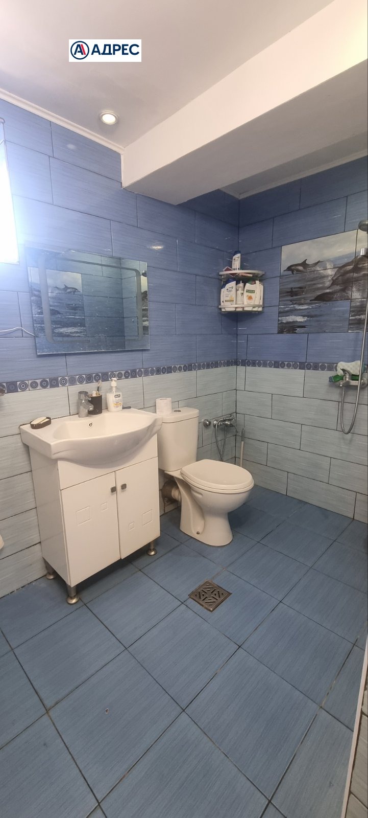 Продава КЪЩА, с. Новоселци, област Видин, снимка 6 - Къщи - 54613590