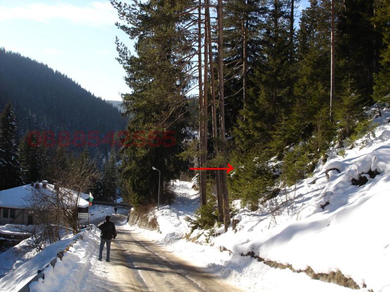 Продава ПАРЦЕЛ, с. Проглед, област Смолян, снимка 4 - Парцели - 52860134