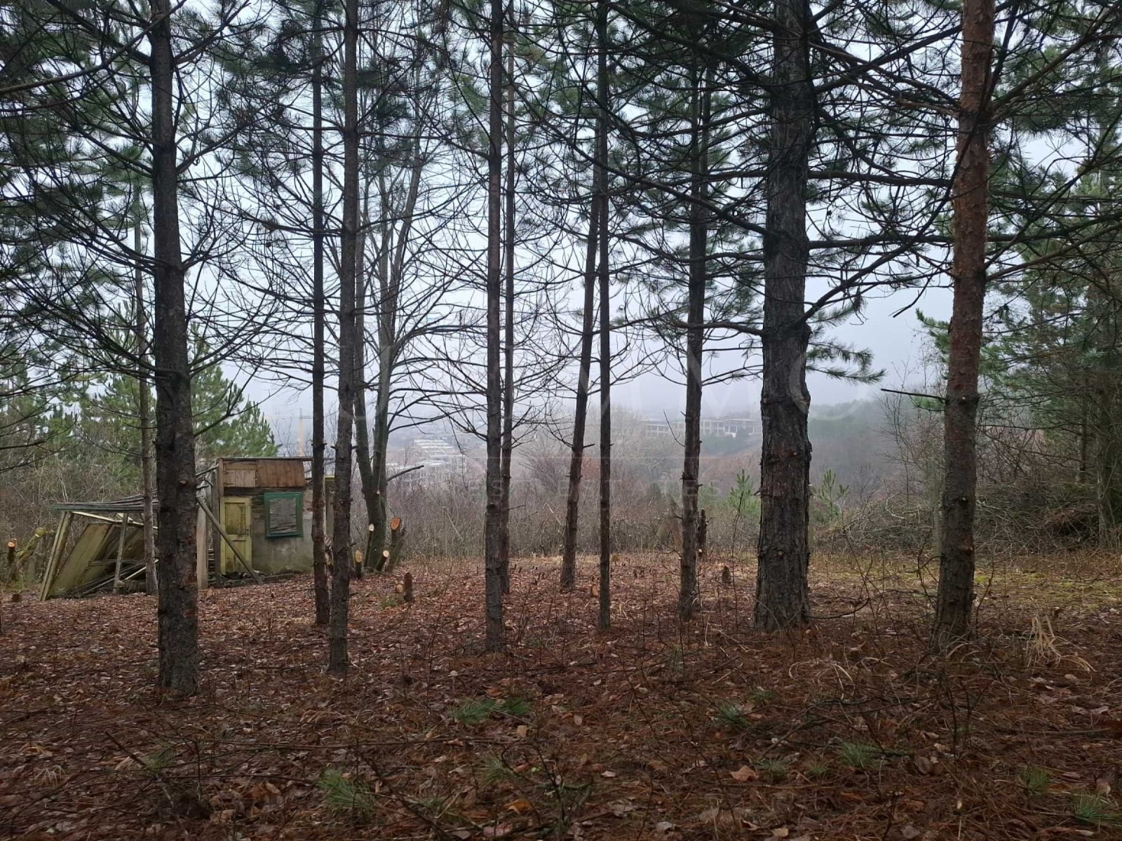 Продава ПАРЦЕЛ, гр. София, с. Лозен, снимка 7 - Парцели - 53994597