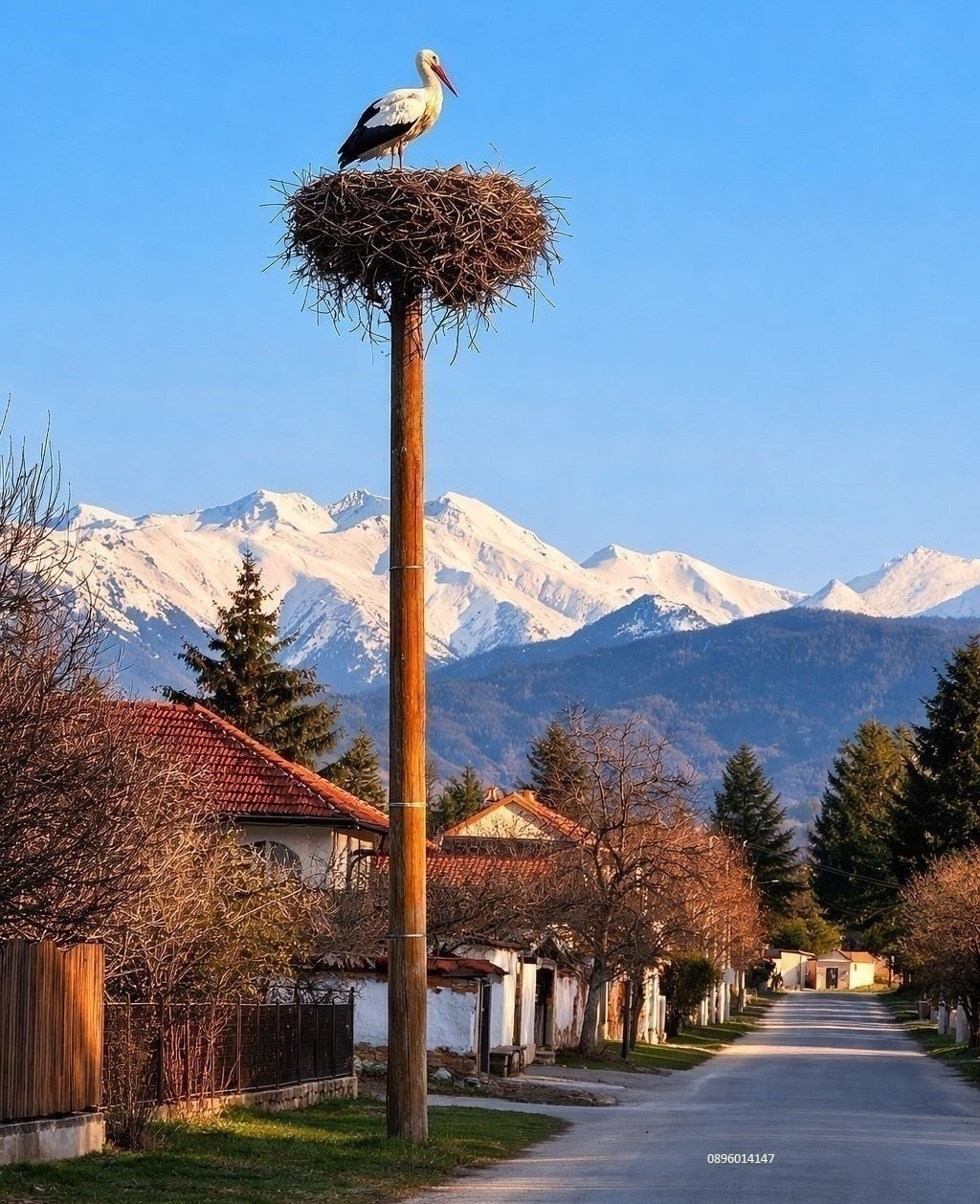 Продава ЗЕМЕДЕЛСКА ЗЕМЯ, с. Алино, област София област