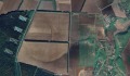 Продава ЗЕМЕДЕЛСКА ЗЕМЯ, с. Опанец, област Добрич, снимка 2