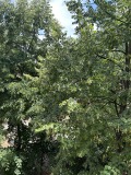 Продава 2-СТАЕН, град София, Люлин 6 • 145000 € • 83843710 — Holmes.bg