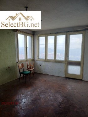 ����� ������� 3-�����,���� ������ �������, ������