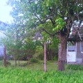 Продава КЪЩА, с. Яребично, област Търговище, снимка 2
