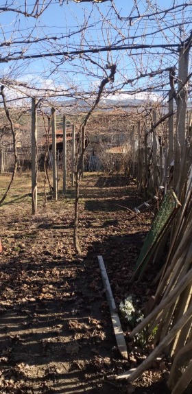 ������� ���� | Imot.bg � ����� ������ 11