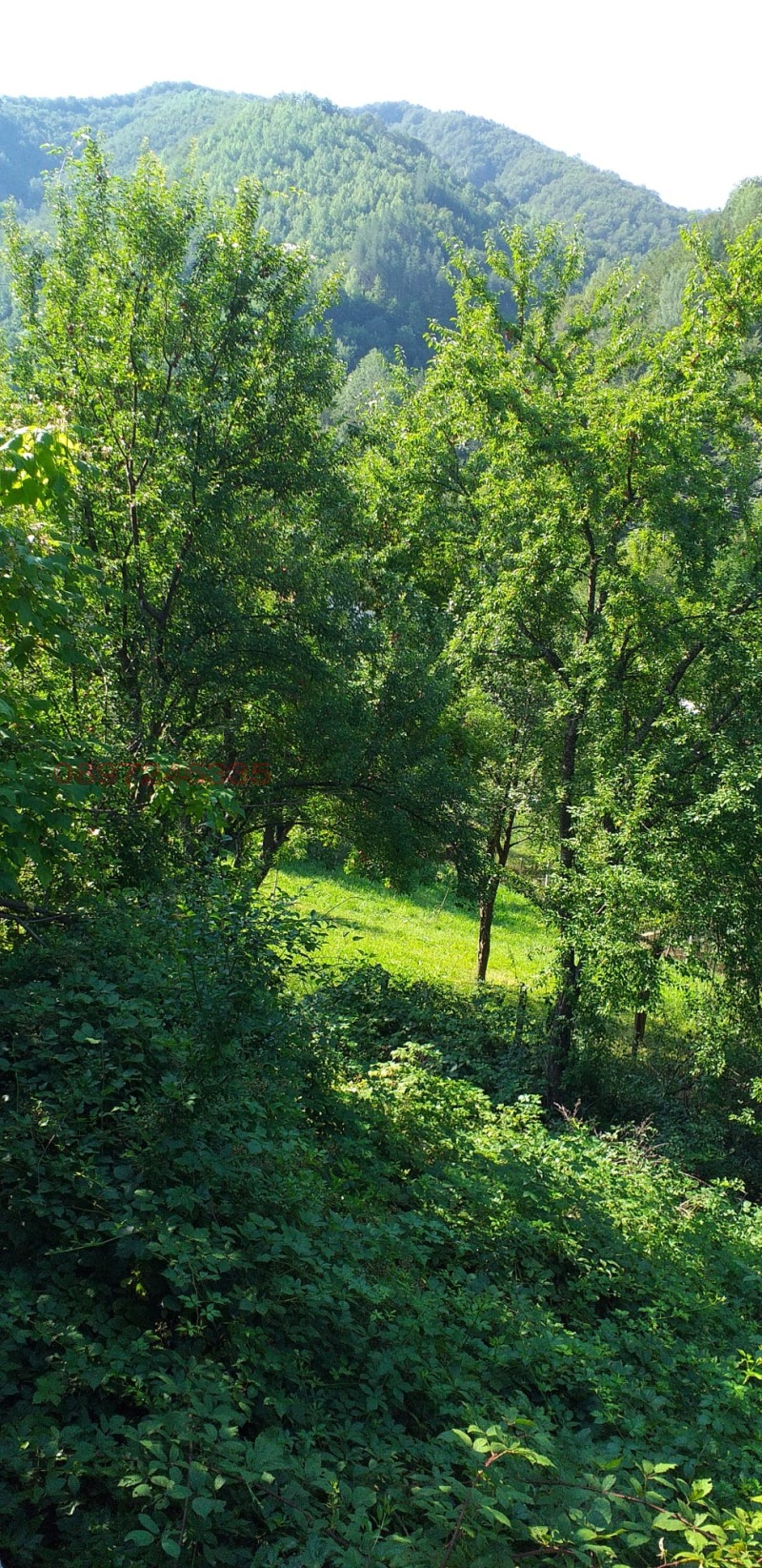 Продава КЪЩА, с. Васильово, област Ловеч, снимка 3 - Къщи - 52781706