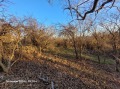 Продава ПАРЦЕЛ, гр. Килифарево, област Велико Търново, снимка 15