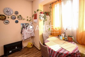 1 ložnice Borovo, Sofia 13