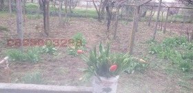 ������� ���� | Imot.bg � ����� ������ 8