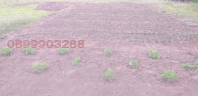 ������� ���� | Imot.bg � ����� ������ 7