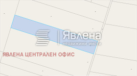 ����� ������� ������,��. ���������, ������ ������