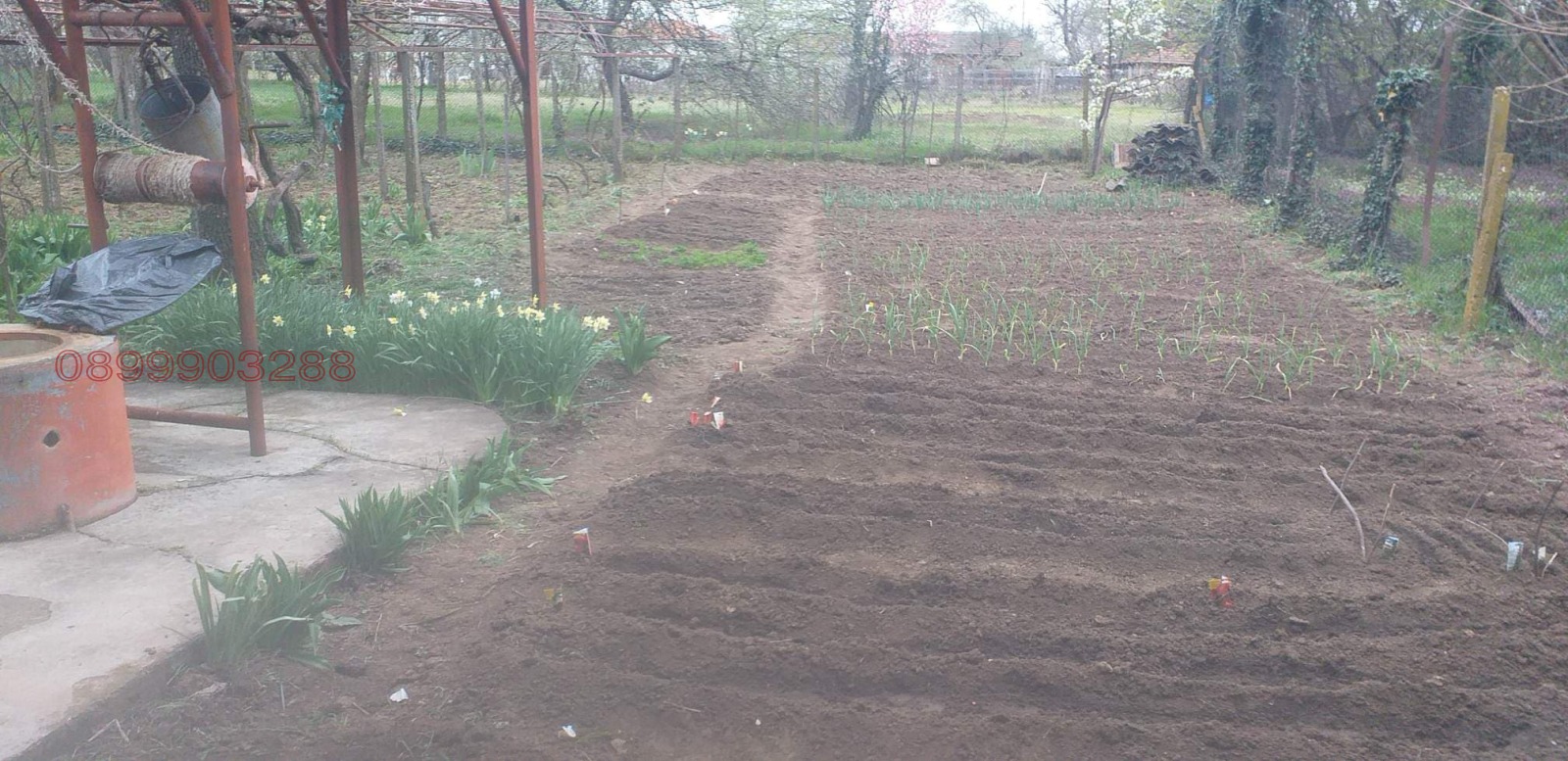 Продава КЪЩА, гр. Завет, област Разград, снимка 6 - Къщи - 54085623