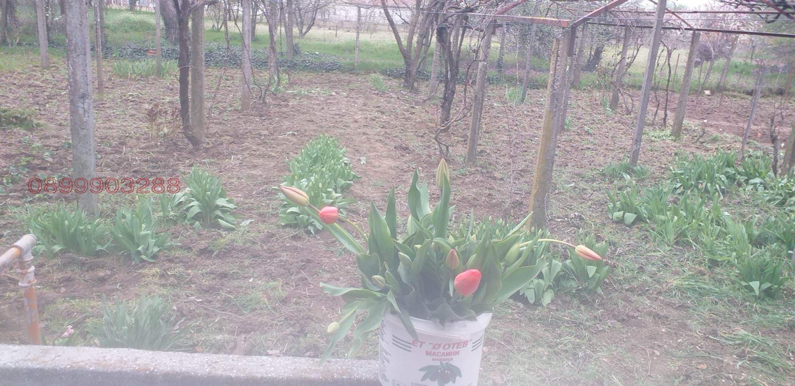 Продава КЪЩА, гр. Завет, област Разград, снимка 8 - Къщи - 54085623