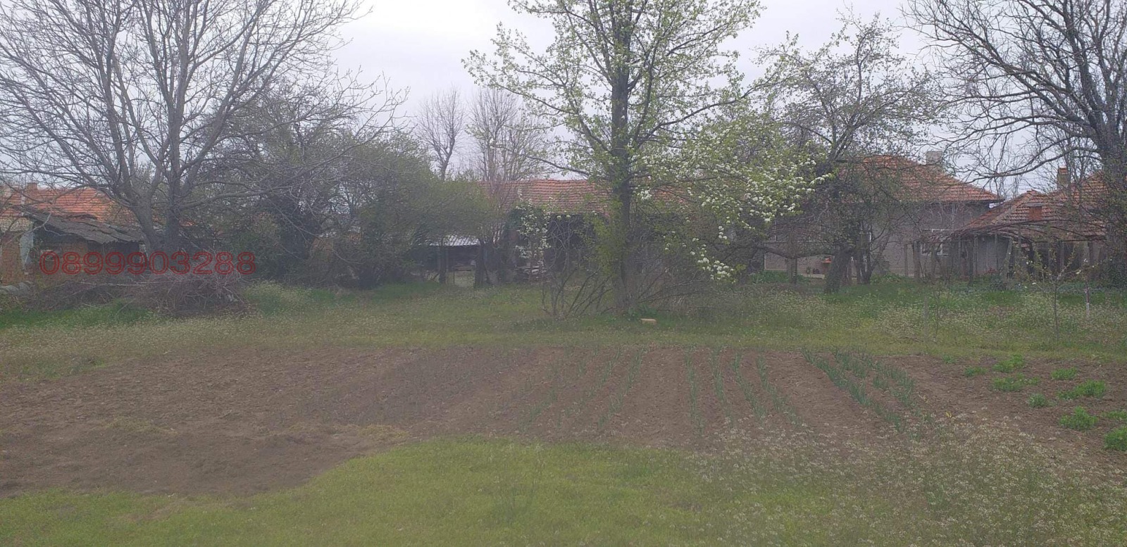 Продава КЪЩА, гр. Завет, област Разград, снимка 9 - Къщи - 54085623