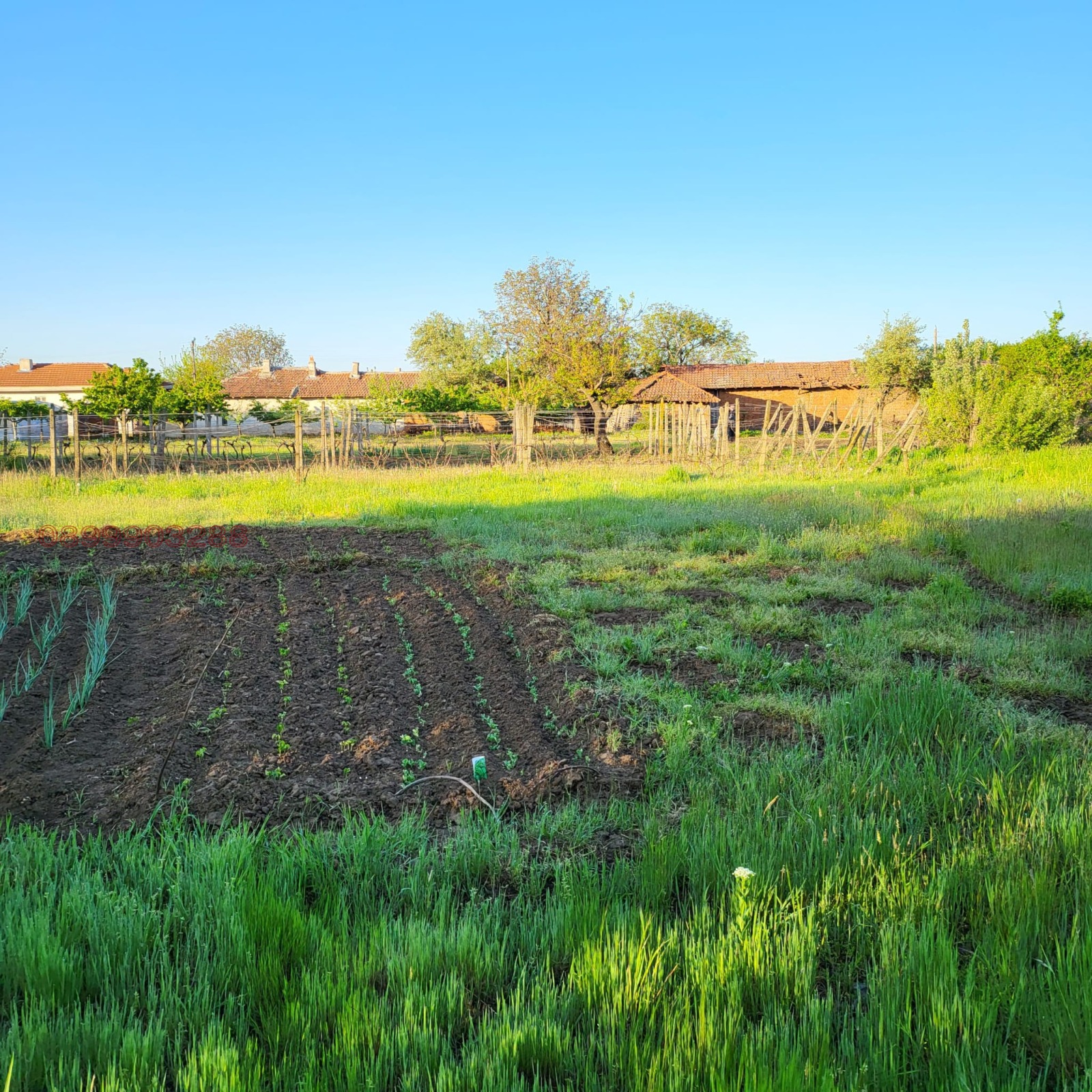 Продава КЪЩА, гр. Завет, област Разград, снимка 11 - Къщи - 54085623