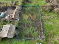 Продава ПАРЦЕЛ, с. Царичино, област Добрич, снимка 1