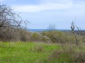 Продава ПАРЦЕЛ, гр. Царево, област Бургас, снимка 1