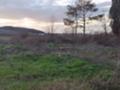 Продава ПАРЦЕЛ, област Варна, гр. Бяла • 79000 € • 60906387 — Holmes.bg
