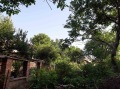 Продава ПАРЦЕЛ, област София, с. Хераково • 110000 € • 75050384 — Holmes.bg