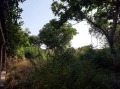 Продава ПАРЦЕЛ, област София, с. Хераково • 110000 € • 75050384 — Holmes.bg