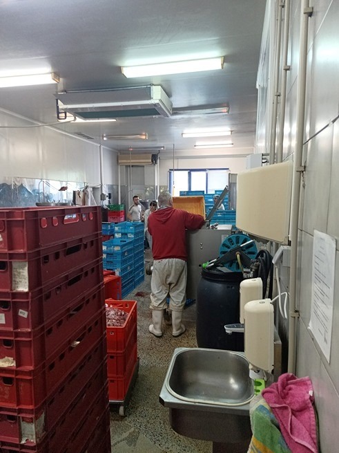 Продава ПРОМ. ПОМЕЩЕНИЕ | Imot.bg — изображение 3