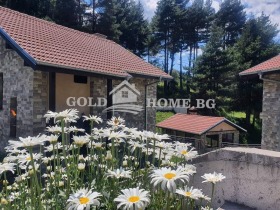 Villa Dospat, region Smolyan 13