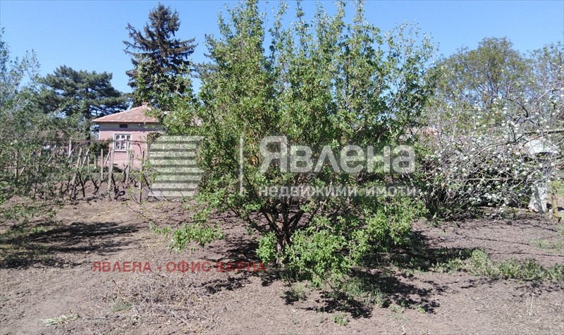For Sale  House region Dobrich , Belgun , 200 sq.m | 38478408 - image [6]