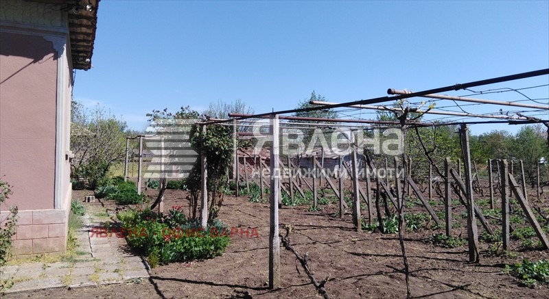 For Sale  House region Dobrich , Belgun , 200 sq.m | 38478408 - image [4]