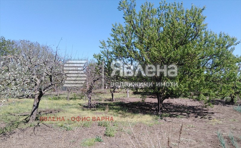 For Sale  House region Dobrich , Belgun , 200 sq.m | 38478408 - image [7]
