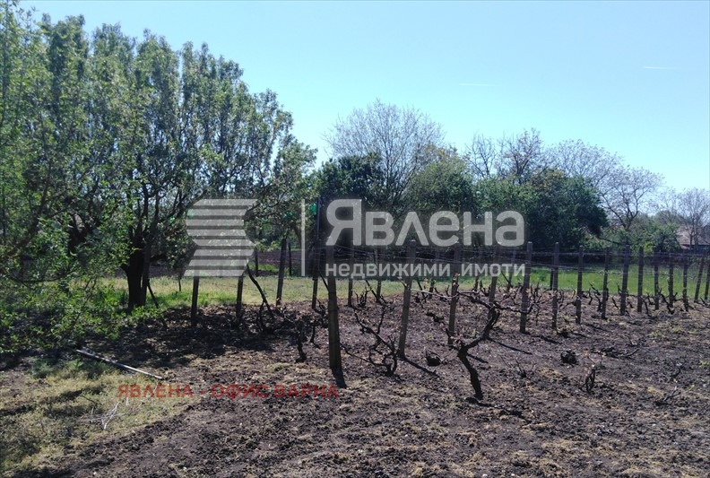 For Sale  House region Dobrich , Belgun , 200 sq.m | 38478408 - image [8]