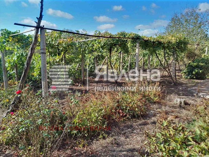 For Sale  House region Dobrich , Belgun , 200 sq.m | 38478408 - image [2]
