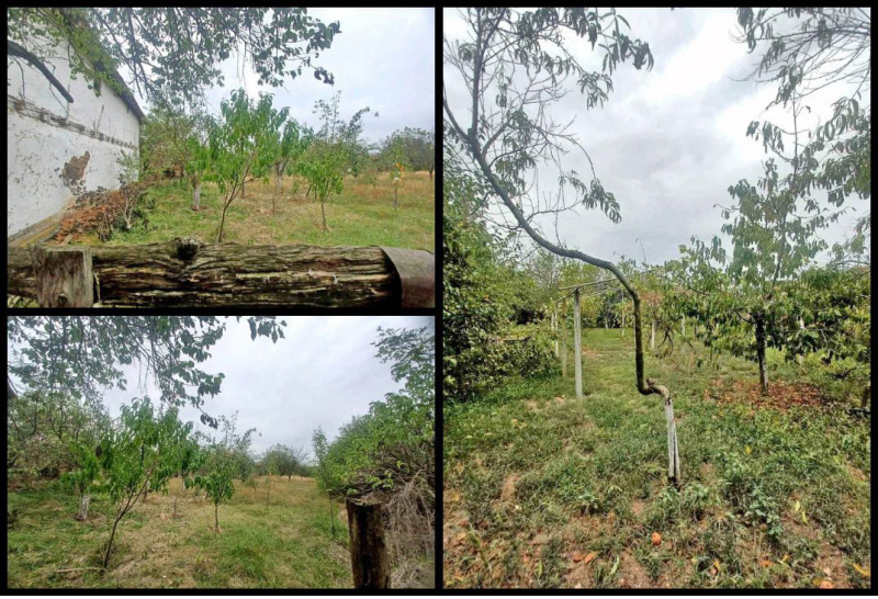 Продава КЪЩА, с. Бело поле, област Видин, снимка 16 - Къщи - 53238582