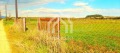 Продава ПАРЦЕЛ, Гърция, Халкидики • 85000 € / 166245.55 лв. • 22751436 15