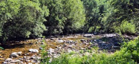 ������� ���� | Imot.bg � ����� ������ 5