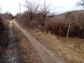 Парцел с. Радибош, област Перник 3